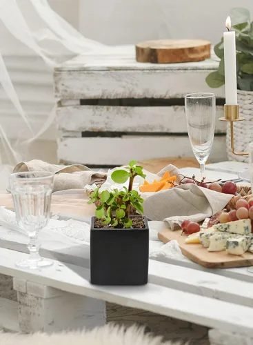Vista 3 de Serene Spaces Living Juego de 4 jarrones negros en forma de cubo, modernos jarrones cuadrados de cerámica negro mate para centros de mesa
