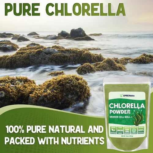 Vista 3 de XPRS Nutra Chlorella Powder - Polvo de clorofila de pared celular rota para inmunidad - Chlorella vegana amigable para proteínas completas (16 onzas)