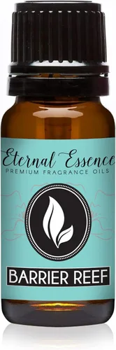 Vista 120 de Aceite Aromático de Romero Grado Premium - 10 ml - Aceite Perfumado