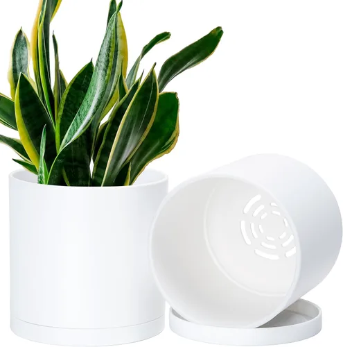 Vista 21 de D'vine Dev - Paquete de 2 macetas de plástico modernas de 4 pulgadas, pequeñas macetas de jardín para plantas con orificios de drenaje y platillos
