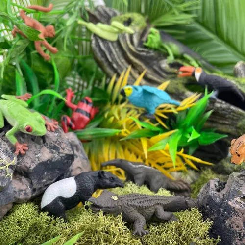Vista 2 de Tubo de figuras TOOB® de la selva lluviosa, de la marca Safari Ltd.