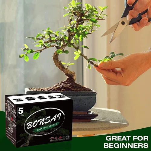 Vista 4 de Meekear 5 Kit de Árbol Bonsái Juego Completo de Herramientas para Cultivo de Plantas, Kit Inicial para Cultivo de Árbol Bonsái en Maceta