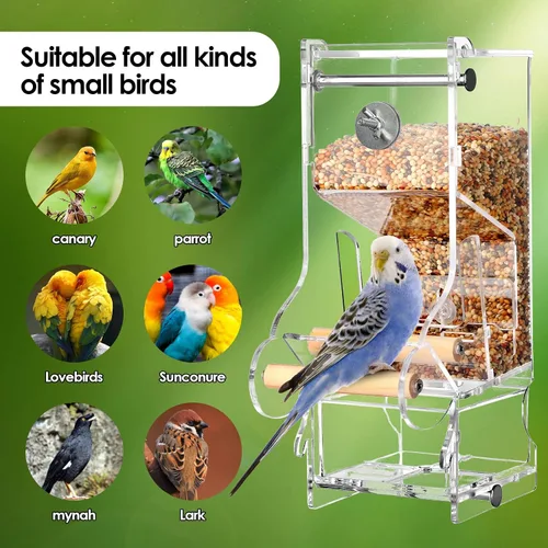 Vista 7 de Comedero para pájaros sin ensuciar, acrílico transparente, reduce los residuos, apto para pájaros pequeños (2 unidades)