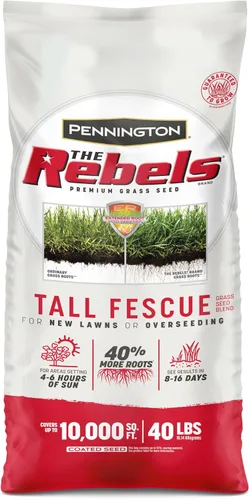 Vista 15 de Pennington The Rebels mezcla de semillas de césped Tall Fescue, 3 libras