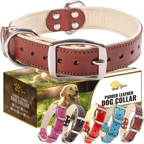 Vista 17 de ADITYNA Collar de perro de cuero negro resistente para perros pequeños, acolchado suave para mayor comodidad, collar de perro pequeño para caminar