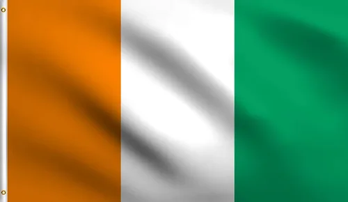 Vista 135 de DMSE - Bandera nacional beninesa beninesa de la República de África Occidental, 2 x 3 pies, 100 % poliéster, 100 % poliéster, resistente a los rayos