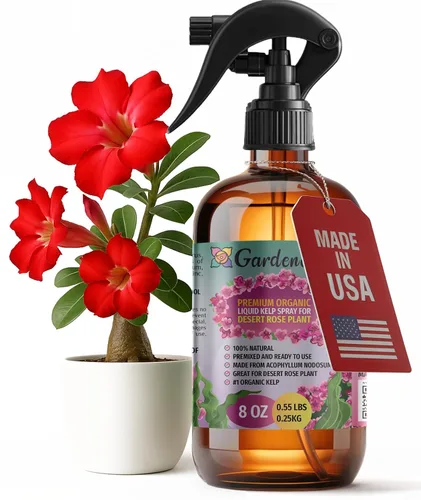 Vista 43 de GARDENERA Spray orgánico profesional de algas marinas para plantas AGLAONEMA – 8 oz – Rocío fertilizante de algas marinas y algas marinas totalmente
