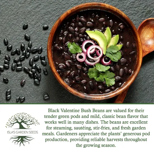 Vista 6 de Semillas de frijol arbusto "Black Valentine", más de 50 semillas tradicionales por paquete, semillas sin OMG, (semillas de jardín de Isla), nombre