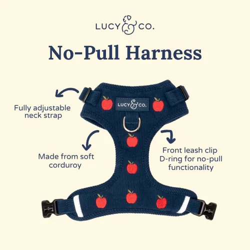 Vista 2 de Lucy & Co. Appley Ever After - Arnés de pana para perro, sin tirones, talla Appley Ever After Corduroy