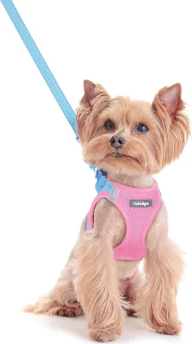 Vista 185 de rabbitgoo Arnés para perro de tamaño pequeño y juego de correa, chaleco Cachorros de manzana