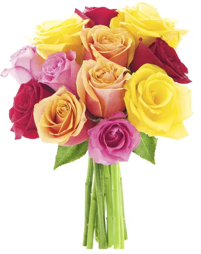 Vista 15 de KaBloom -6 ramos de rosas surtidas, flores para San Valentín, día de la madre Surtido