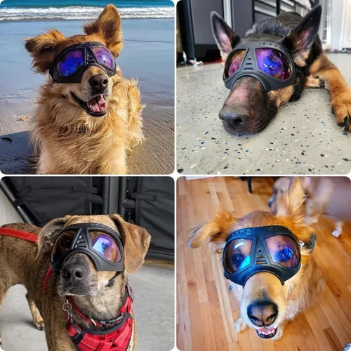 Vista 2 de Gafas grandes para perros con protección para ojos de mascotas para razas medianas a grandes, resistentes al viento, a prueba de nieve, a prueba