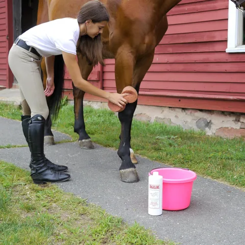 Vista 3 de Absorbine Bigeloil Liquid Liniment, Invigorating Topical Rub for Sore Muscles, Joints & Arthritis Pain