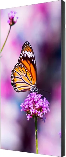 Vista 3 de Sharp UN552V 55IN LED S-IPS 28 Haze Bisel ultra estrecho 0.1 in