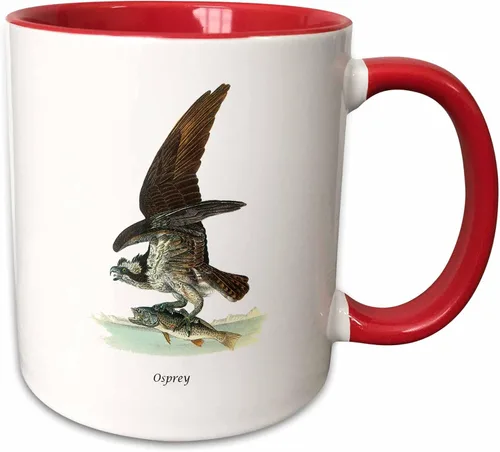 Vista 9 de 3dRose, Taza negra bicolor de 11 oz, negro/blanco