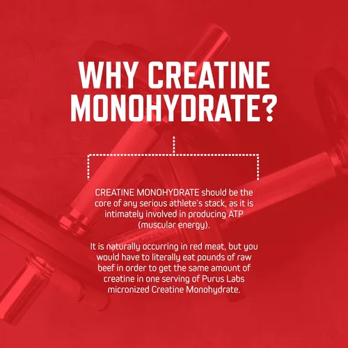 Vista 5 de Purus Labs Foundation Series Creatina en polvo Creatina micronizada 100% ultra pura para fuerza, masa, potencia, recuperación 30 porciones