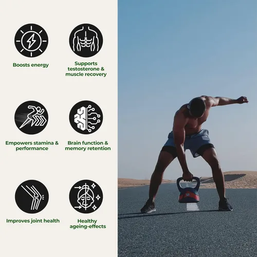 Vista 4 de Shilajit puro del Himalaya – 60 cápsulas Aprobado por Health Canada Energía, resistencia y claridad mental Vegano y probado en laboratorio