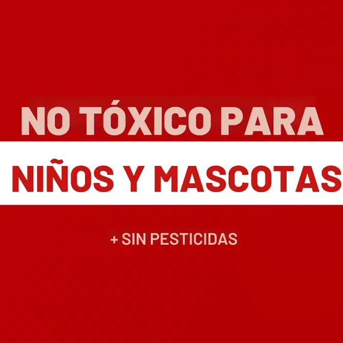 Vista 6 de Tomcat - Trampas de pegamento tamaño de ratón con Eugenol para mayor adherencia para ratones, cucarachas y arañas, 6 trampas Almohadillas