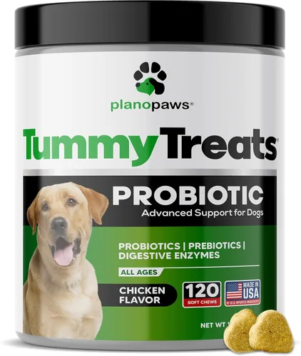 Vista 9 de Probióticos para perros - Masticables para la salud digestiva con prebióticos y enzimas Suplemento probiótico para perros para el intestino