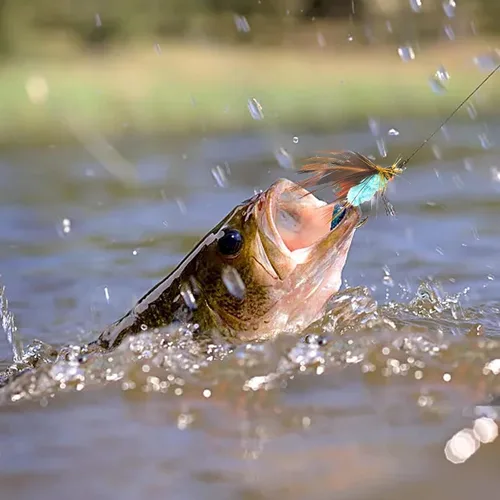 Vista 6 de Fly Fishing Kit, Handcrafted Dry Wet Flies with Realistic Lure Design Ready 12 piezas