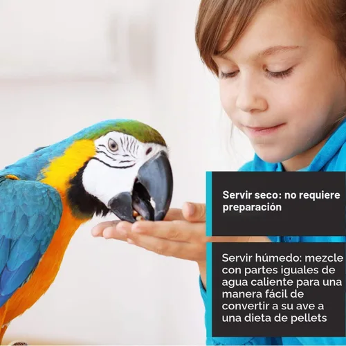 Vista 6 de Hari Hagen Tropimix - Alimento enriquecedor para loros pequeños, 20 libras (20.0 lbs) - HARI Alimento para loros pequeños con semillas, frutas