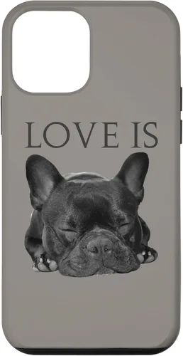 Vista 16 de Funda para iPhone 16 Bulldog Francés para teléfono Frenchie Mom Dad Dog Pet Love Case