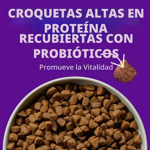 Vista 7 de Wellness CORE Alimento seco para perros, sin granos, alta proteína, natural, receta de pescado blanco del océano, arenque y salmón