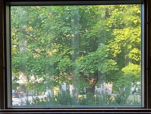 Vista 7 de COLLIDESCAPE Spiderweb - Cinta para Pájaros Transparente para Ventanas (3/4" x 20' - Cubre 1 a 2 paneles) Cintas Adhesivas para Pájaros