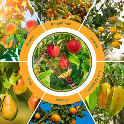 Vista 6 de Poste recogedor de frutas de 13 pies con canasta, herramienta Rojo