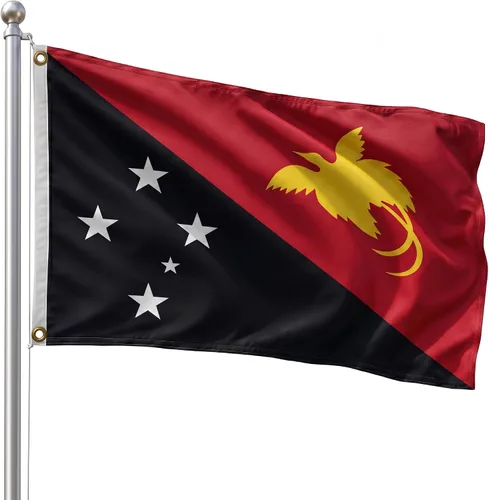 Vista 178 de DMSE - Bandera nacional beninesa beninesa de la República de África Occidental, 2 x 3 pies, 100 % poliéster, 100 % poliéster, resistente a los rayos