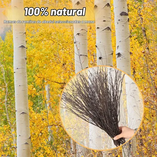 Vista 4 de 30 ramitas de abedul secas reales – 17 pulgadas decorativas 100% ramas de abedul naturales para jarrones de Pascua, ramas de sauce rizadas