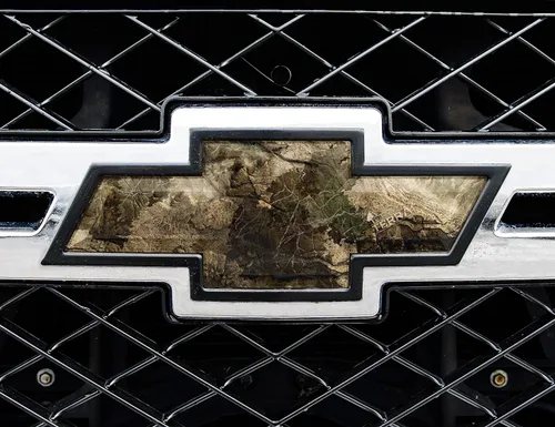 Vista 13 de Mossy Oak Graphics 14010-BI Break-Up Infinity Piel de emblema de auto, Blaze
