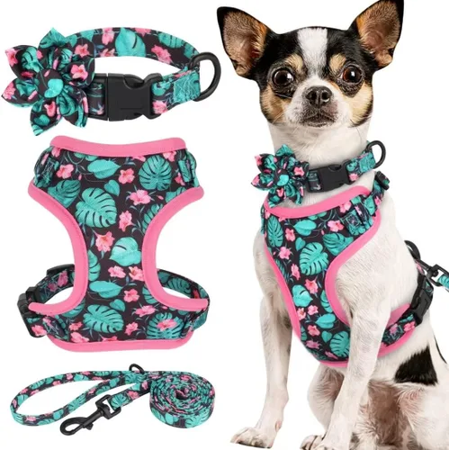 Vista 11 de Beirui Lindo juego de collares, arneses y correas para perro hembra, juego de collar y correa ajustable con flor - Arnés de malla suave para Azul