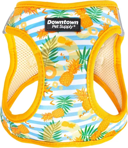 Vista 17 de Downtown Pet Supply Arnés para perro Step-in – Sin tirones, malla acolchada ajustable con ribete reflectante, correa de hebilla segura – Arnés