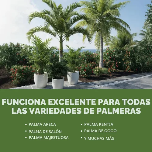 Vista 6 de Fertilizante para palmeras para todas las palmas y helechos, alimento líquido para plantas 8 oz (250mL)