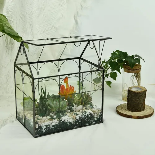 Vista 5 de Vidrio de terrario para invernadero de plantas grandes y altas con tapa, 8.7 x 5.9 x 10.6 pulgadas, kit de terrario de cactus suculentos