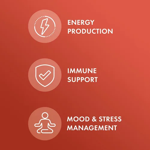 Vista 3 de Dr. Mercola Ashwagandha orgánica - Apoya la producción de energía y la salud suprarrenal - 800 mg por porción - Sin OMG, sin gluten y sin soja