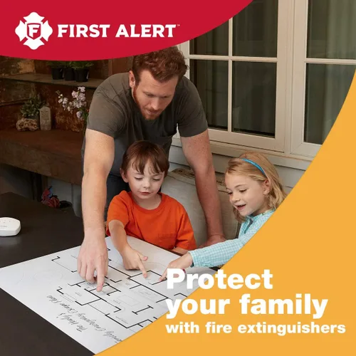 Vista 2 de First Alert DHOME1 Extintor de incendios estándar recargable para el hogar, clasificación UL 1-A:10-B:C, peltre