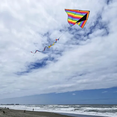 Vista 4 de In the Breeze Printed Delta Kites, Easy-Flying Single Line Kites for Kids & Adults
