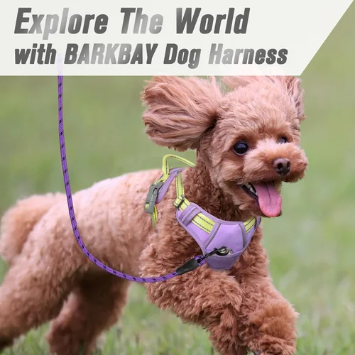 Vista 69 de BARKBAY - Arnés para perro sin tirones con clip frontal, material resistente y reflectante, asa de fácil control para pasear perros grandes