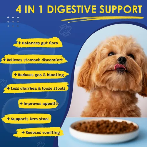 Vista 4 de Probióticos para perros, probióticos para perros para la salud digestiva, vitaminas para perros, polvo multivitamínico para perros