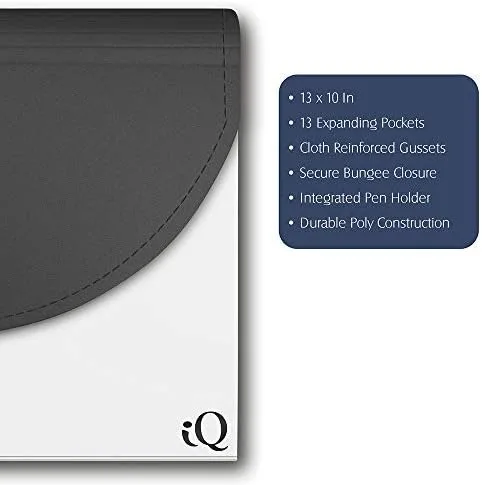 Vista 3 de IQ iScholar - Carpeta expandible de 13 bolsillos, 13 x 10 pulgadas, el color variará (31313)
