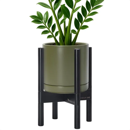 Vista 56 de D'vine Dev Maceta de cerámica con soporte de ébano – Maceta redonda moderna de 8 pulgadas con soporte para maceta de madera, color negro, 55-B-M-2