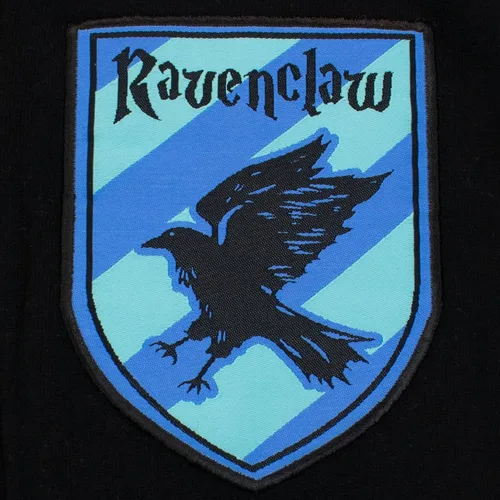 Vista 4 de Harry Potter Sudadera con capucha para niños Ravenclaw con capucha puntiaguda