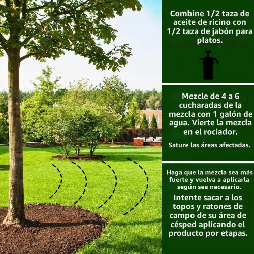 Vista 5 de Repelente de mole, 100 % aceite de castor, 32 onzas, concentrado