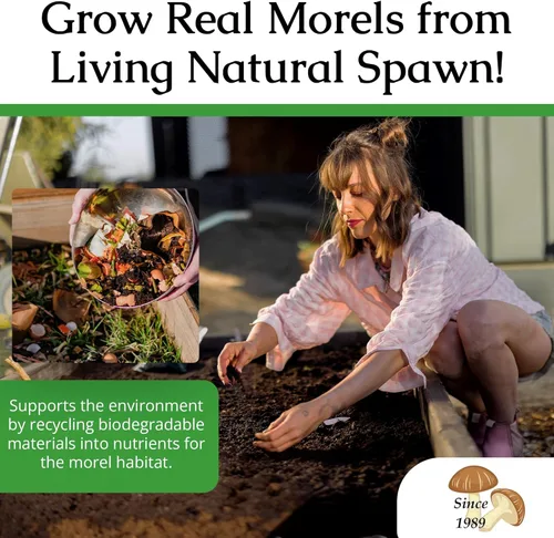 Vista 6 de Hábitat para cultivo de morillas, juego de cultivo de setas para el patio Compatible with Any Soil Type Across the U.S., Outdoor Garden & Backyard