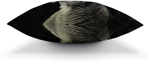 Vista 5 de AOYEGO Funda de almohada de león de 12 x 20 pulgadas, diseño de leones rugientes de animales salvajes con lengua larga, dientes afilados, fundas