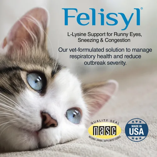 Vista 2 de Felisyl Gel de L-lisina para gatos y gatitos (5 onzas) – Sistema inmunológico, respiratorio y apoyo para la salud ocular. Reduce los estornudos