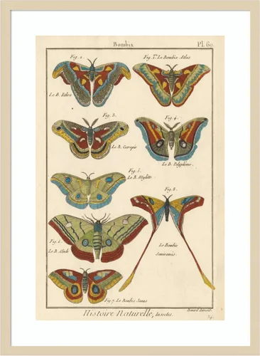 Vista 15 de Amanti Art Lienzo decorativo para pared enmarcado de 24 x 18 pulgadas, diseño de mariposas de naturaleza III de historia, arte de pared de animales