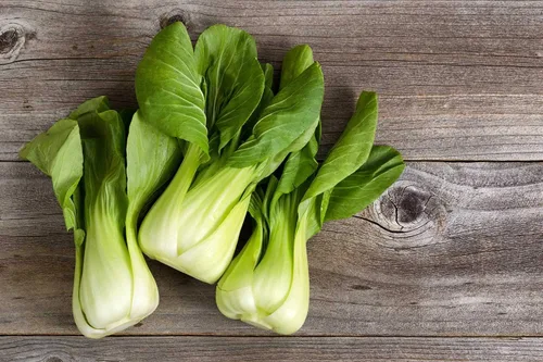 Vista 6 de Semillas Chino Col Bok Choy Heirloom Vegetales No OGM